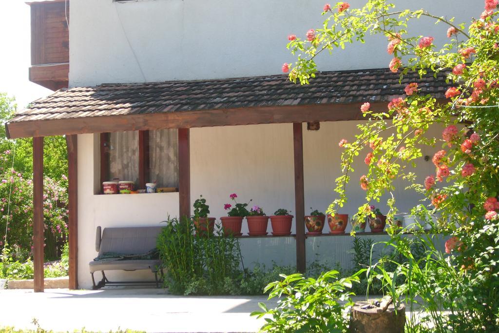 Elida Guest House Шабла Екстер'єр фото
