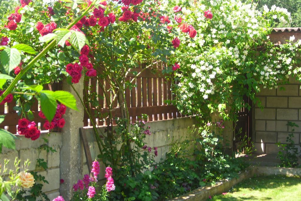 Elida Guest House Шабла Екстер'єр фото